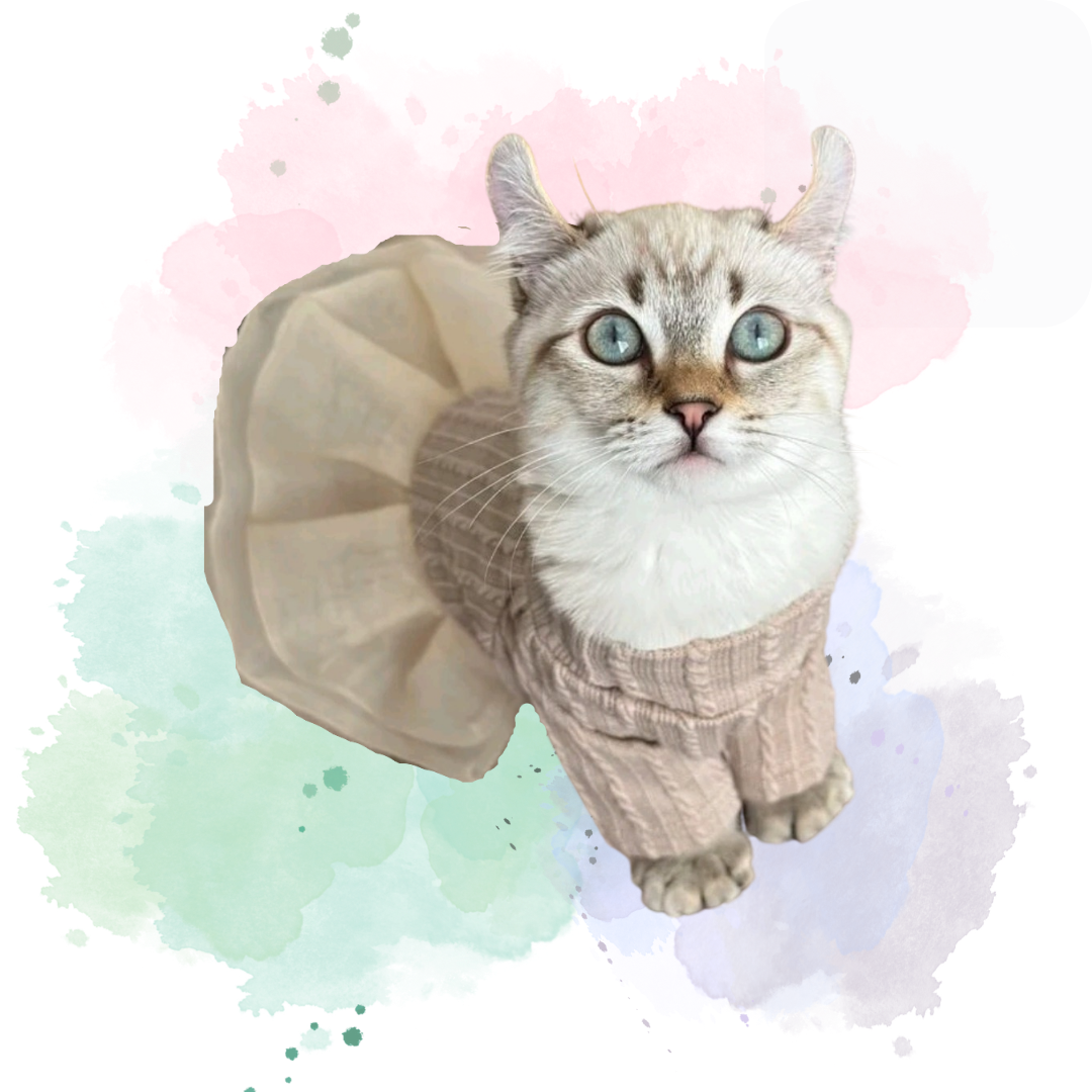 Beige Tutu and Jersey Pet Outfit