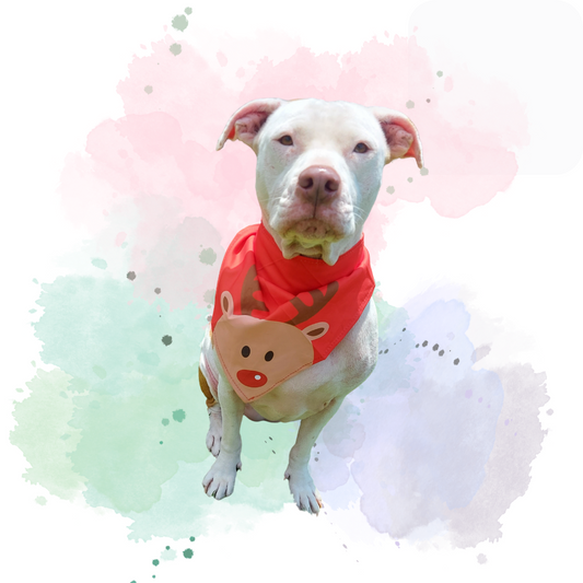 Christmas Themes Reindeer Pet Bandana