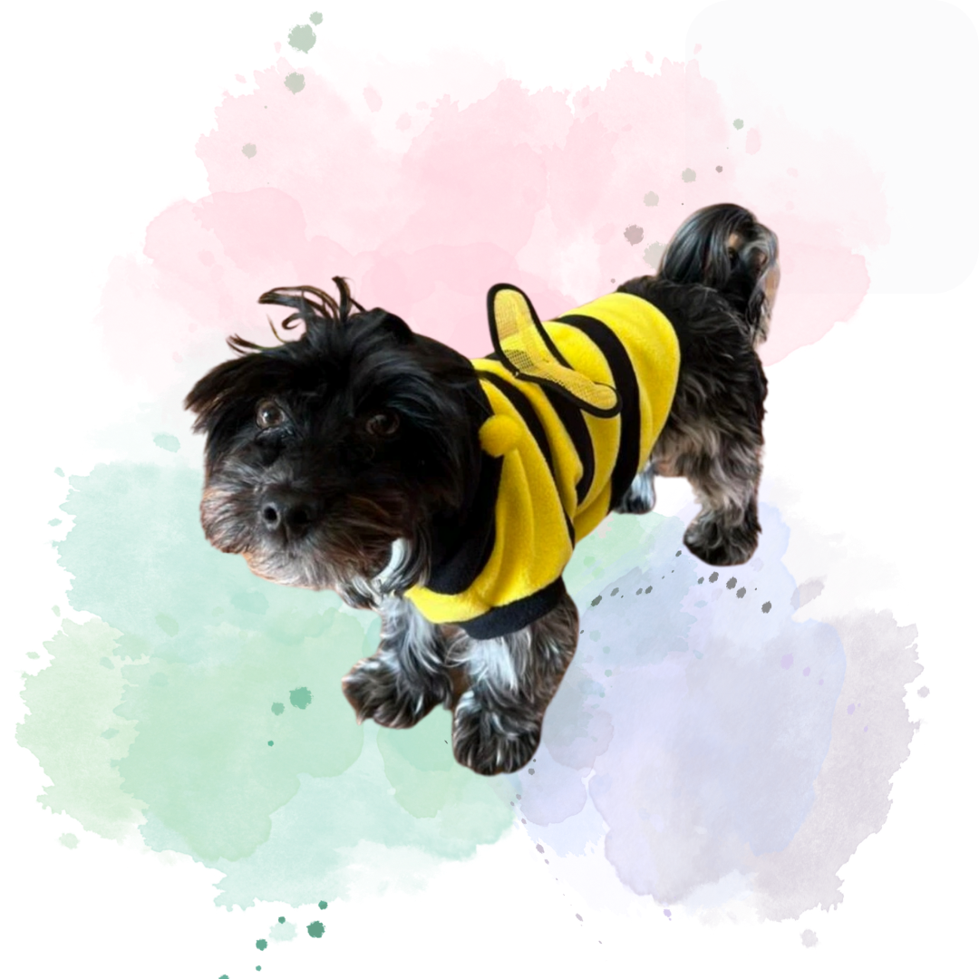 Bumble Bee Fluffy Pet Hoodie