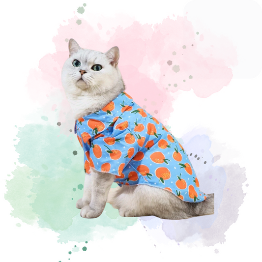 Little Orange Buttoned Up Shirt Themed Pet Clothing