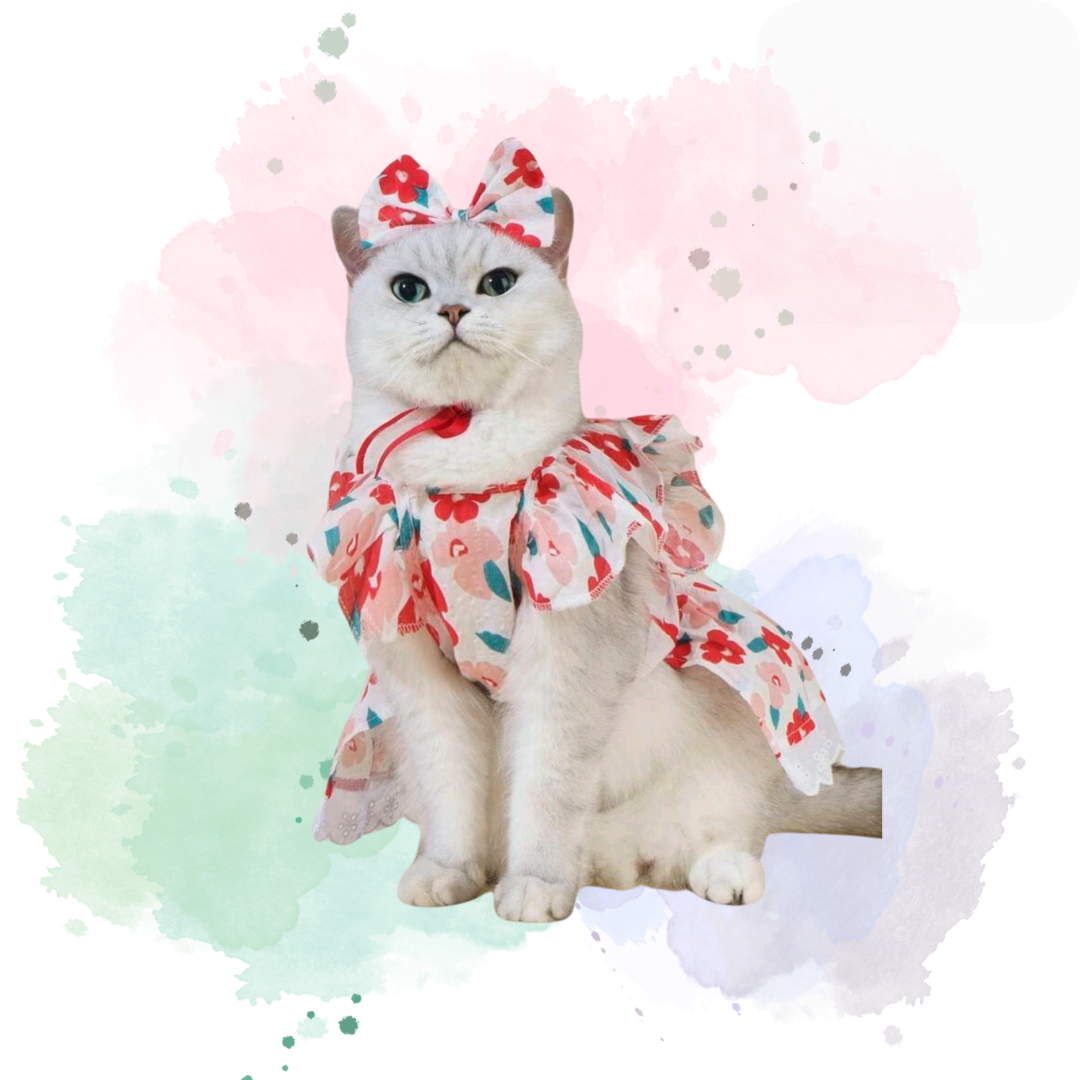 Cute 2 Piece Dress and Headband Flower Themed Pet Outfit With Hook for Leash