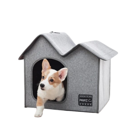 Grey Cat and Dog House