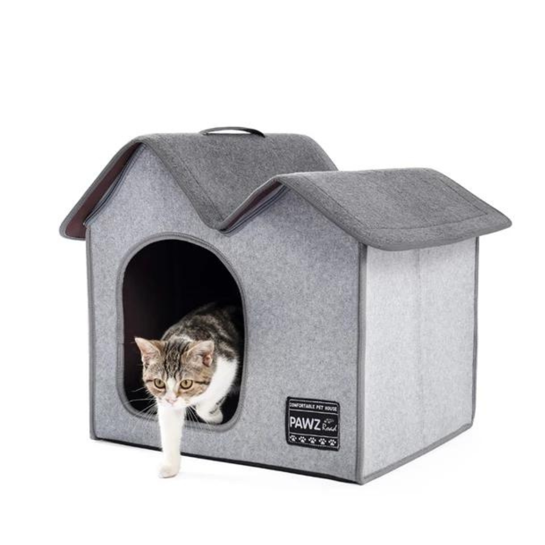 Grey Cat and Dog House