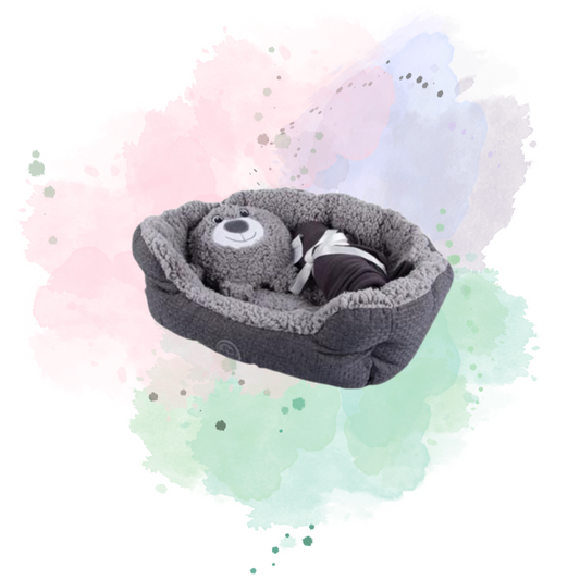 Puppy or Kitten Starter Pack - Pet Bed, Teddy Bear and Blanket