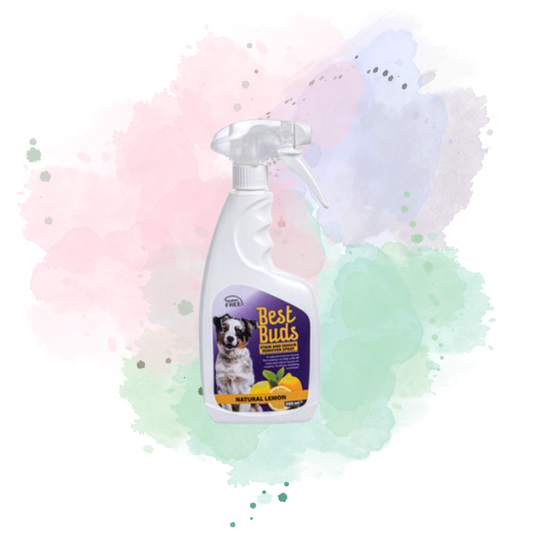 Pet Stain and Odour Remover Spray